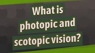 What is photopic and scotopic vision [upl. by Enyleuqcaj]