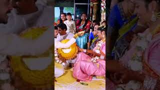 talambralu ytshorts pellisandadi shortvideo wedding video [upl. by Amsirak]