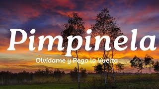 Pimpinela Lyrics 💫 Olvídame y Pega la Vuelta  Mix Canciones Reggaeton 2024 [upl. by Breed]