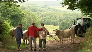 LES HOLLANDAIS DANS LE MORVAN [upl. by Stockmon]