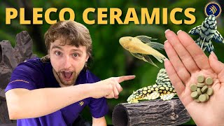 Pleco Ceramics The Ultimate Guide to Ceramic Hides Premium Plecos amp Nutritious Foods [upl. by Doris]