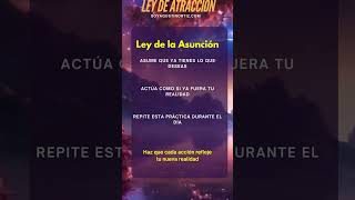 Ley de la Asunción [upl. by Dorahs870]