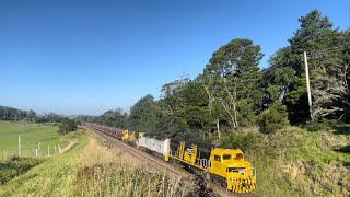 Trains between Woonona and Exeter featuring CLP12 diverted Great Southern and diverted Cement [upl. by Eirlav]