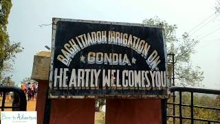 नवेगाव बांध । इटीयाडोह । Navegaon Bandh  Itiyadoh Dam  Gondia [upl. by Boor72]