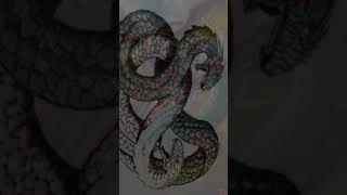 Amphisbaena Greek mythology shorts mythicalcreatures cryptids mythical [upl. by Faubert]