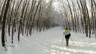 Na biegówkach w Żarkach [upl. by Ellerud]