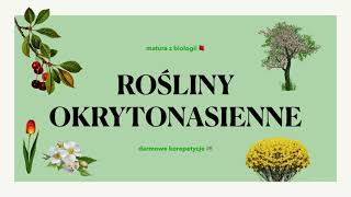 17 Rośliny okrytonasienne  budowa charakterystyka cykl rozwojowy 🌳 matura biologia rozszerzona 📕 [upl. by Nahseez]