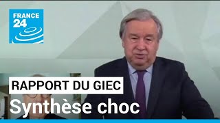 Rapport du Giec  la synthèse choc de lurgence climatique • FRANCE 24 [upl. by Sucramad]