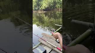 fishing nature fishingvideo shortsvideo fisherboy bigfish Shorts twolessfishinthesea fishin [upl. by Tedman]