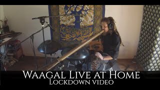 Waagal Live at Home  Handpan Didgeridoo Percussive Fingerstyle Guitar Live Looping One Man Band [upl. by Baer]