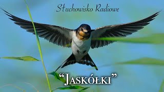 Jaskółki  Joanna Chmielewska  Słuchowisko radiowe [upl. by Grantland224]