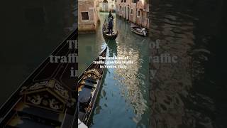 A perfect travel day in Venice Italy venice travelvlog travelvlog italy [upl. by Gnet515]