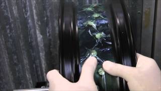 Freestyle Supermoto OUTEX Tubeless 17quot Warp 9 wheel how to install Video [upl. by Erdnaxela429]