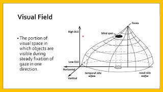 Central Visual Field Techniques of evaluation [upl. by Nylzzaj833]