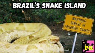 Brazils Snake island  The Worlds Most Venomous Island Explained [upl. by Giacopo]