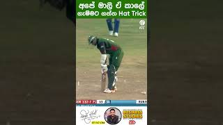 අපේ මාලි ගත්ත සුපිරිම hat trick එක මෙන්න ❤💪 cricket lasithmalinga hattrick malinga [upl. by Prussian758]