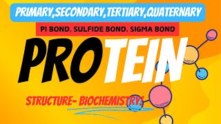 PROTEIN STRUCTURE PRIMARY SECONDARY TERTIARY QUATERNARY AND BONDS Biochemist cornerI MsBiochemist I [upl. by Inesita]