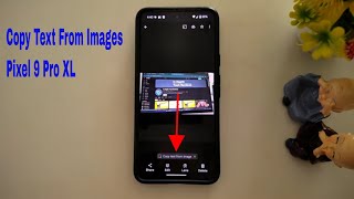 How to Copy Text from Image in Pixel 9 Pro XL and Pixel 9 Pro Fold [upl. by Kauslick]