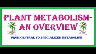 Plant Metabolism An Overview [upl. by Ycinuq]