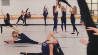 Penn State Lionettes have accepted the mannequin challenge [upl. by Schnorr]