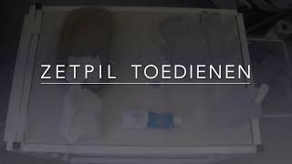 Zetpil toedienen [upl. by Eitsirc963]