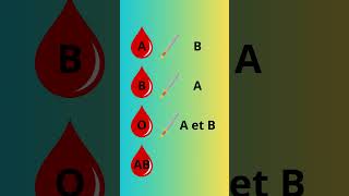 Comprendre les groupes sanguins sang santé education corpshumain comprendre [upl. by Allard564]