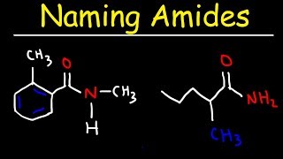 Naming Amides  IUPAC Nomenclature [upl. by Mcdonald83]