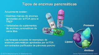 Nutrición función y beneficios de la TREP [upl. by Nohsar]