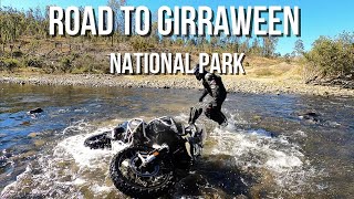 Making friends and MOTOCAMPING at GIRRAWEEN NATIONAL PARK [upl. by Trocki]