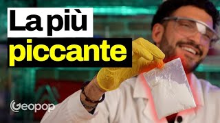 16 milioni di punti nella scala Scoville abbiamo assaggiato la capsaicina pura ed è piccantissima [upl. by Etnuhs]