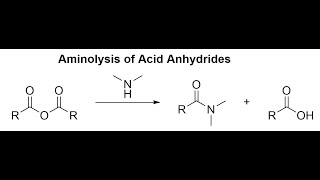 Aminolysis of Acid Anhydrides [upl. by Atnoled]