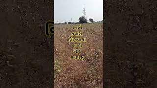 જેને કપાસ વિણવા આવું હોય તે કોમેન્ટ કરે [upl. by Hesky]