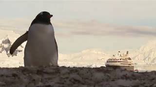 See Ponants Le Boreal in Antarctica  Iglucruise [upl. by Adrahc]