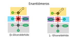 Carbohidratos  Enantiómeros y epímeros  Configuración D y L [upl. by Merle461]