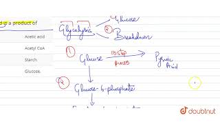 Pyruvic acid is a product of [upl. by Caryl]