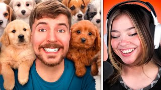 Mictia REACCIONA A MRBEAST ¡Adopté a 100 Perros [upl. by Rosette705]