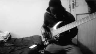 Bheka Mthethwas bass cover  Healer  by Ntokozo Mbambo [upl. by Kattie818]