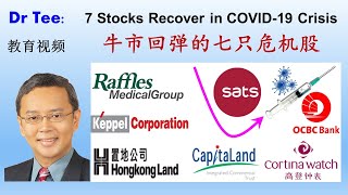 Dr Tee Free Course 牛市回弹的七只危机股 7 Stocks Recover in COVID19 Crisis [upl. by Morlee519]