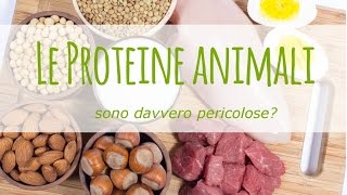 Proteine animali gli studi che provano la loro pericolosità [upl. by Cinnamon]