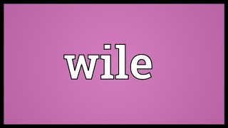 Wile Meaning [upl. by Ahsiem660]