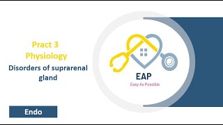 Pract 3  Physiology  Disorders of suprarenal gland  Endo 42 [upl. by Eidahs]