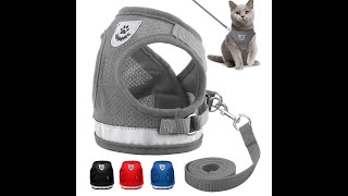 Cat Reflective Harness And Leash Set [upl. by Hadeehuat]