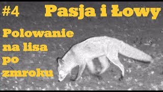 Pasja i Łowy  Polowanie na lisa po zmroku i noktowizor Nachtjaeger [upl. by Craw]