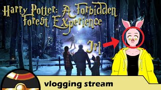 My Harry Potter A Forbidden Forest Experience vlog [upl. by Miki285]