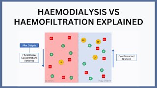 Haemodialysis vs Haemofiltration Explained [upl. by Yodlem]