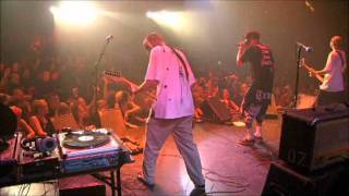 hed PE Renegade Live [upl. by Eeryn]