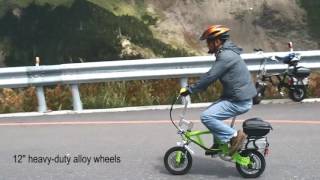 MINI ELECTRIC PEDAL BIKE [upl. by Athene681]