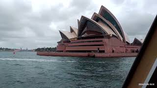 Circular Quay to Mosman Bay by Ferry ⛴️ [upl. by Philbin992]