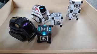 Vector 20 meets Anki Cozmo robot vector cozmo [upl. by Tanny498]