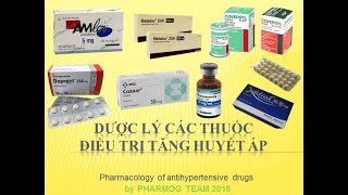 Pharmog SS1  Tập 11  Dược lý về thuốc điều trị tăng huyết áp [upl. by Ahsieker]